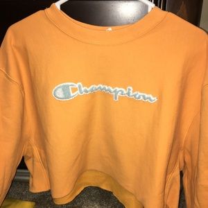 Champion Cropped Crewneck